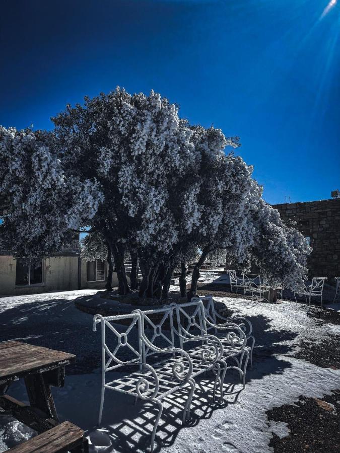 Jabal Dana Hotel - The Highest Hotel In Jordan Eksteriør billede